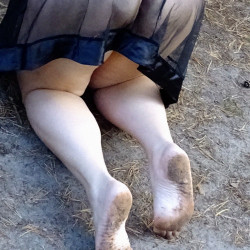 Pic #4 Forest Road Part 2