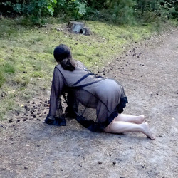 Pic #5 Forest Road Part 2