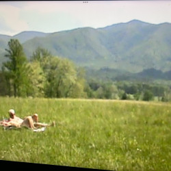 Pic #4 Cades Cove