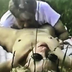 Pic #4 Smoky mountains