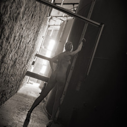 My wife's ass - Wife-7477