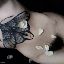 Ms. Rosie Wilde (Ms. Rosie Levine, Rosie Manhattan) Close-ups