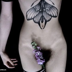 Pic #3 Ms. Rosie Wilde (Ms. Rosie Levine, Rosie Manhattan) Close-ups