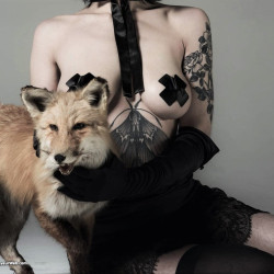 Pic #2 Ms. Rosie Wilde (Ms. Rosie Levine) professional shots (1)