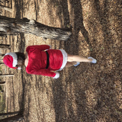 Merry Christmas!