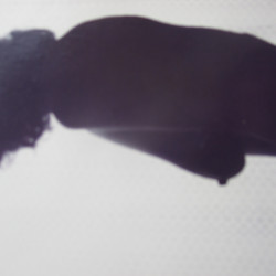 Large tits of my wife - MySue