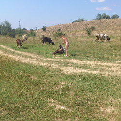 Pic #4 Unknown