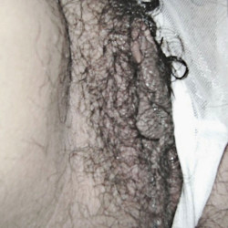 Pic #9 My hairy wife in a sexy bikini