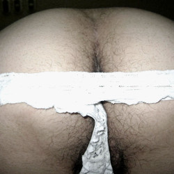Pic #2 My hairy wife in a sexy bikini 3