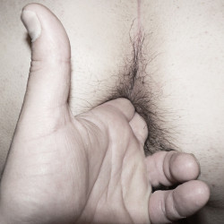 Pic #9 My hairy wife in a sexy bikini 3