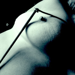 Pic #4 black and white