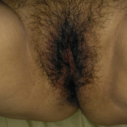 Pic #4 For bush lovers...