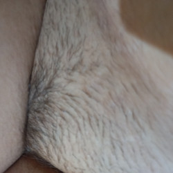 Pic #6 For bush lovers...