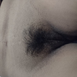 Pic #8 For bush lovers...