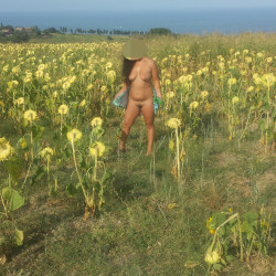Pic #9 Estate 2025