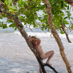 Pic #6 Java on the beach