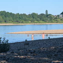 one day at the rhine