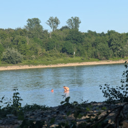 Pic #3 one day at the rhine