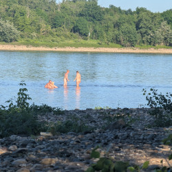 Pic #4 one day at the rhine