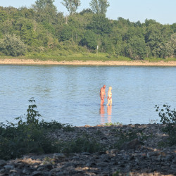 Pic #6 one day at the rhine
