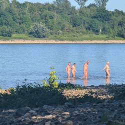 Pic #9 one day at the rhine
