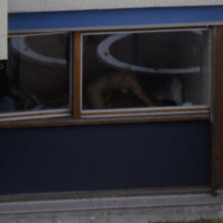Pic #3 An unexpected surprise
