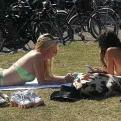 Pic #4 Voyeur