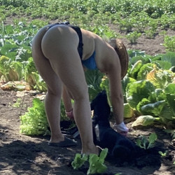 Garden works