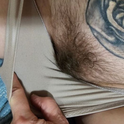 Pic #5 bush, no bush?