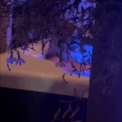 Hot Tub Solo fun