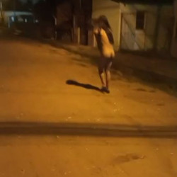 Pic #4 Me nude in public