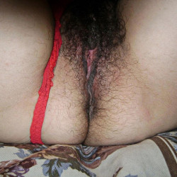 Pic #8 My hairy wife in a thong 2