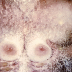Pic #9 Showing you my body.