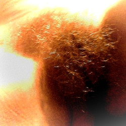 Pic #9 miscel pics of my hairy wife