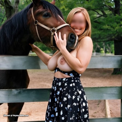 Pic #5 At The Horse Farm