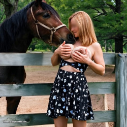 Pic #6 At The Horse Farm