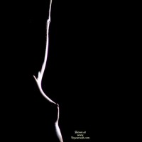 Small Breast In Silhouette - Firm Tits, Small Tits