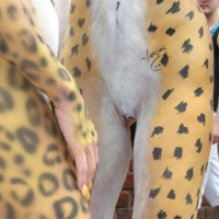 Pic #6 Unbelievable Key West