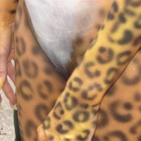 Pic #8 Unbelievable Key West