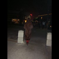 Pic #1 *NC A Night At The Movies
